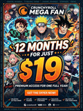 Crunchyroll Mega fun Access – 12 Months Setup & Activation Service
